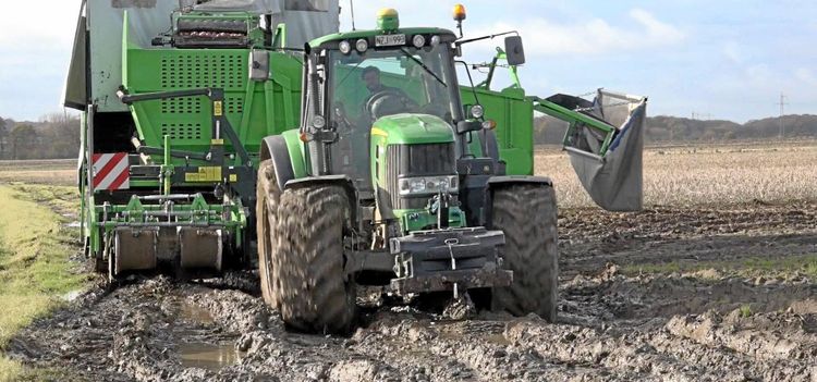 Året som odlarna helst vill glömma