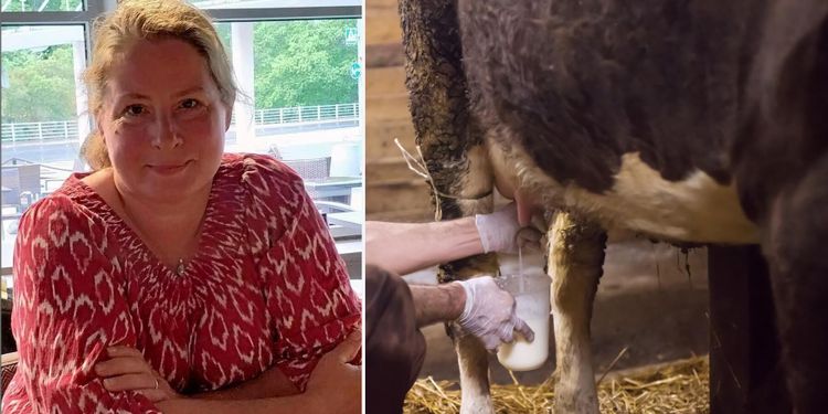 Kursen som ska göra mjölkbonden till företagsledare