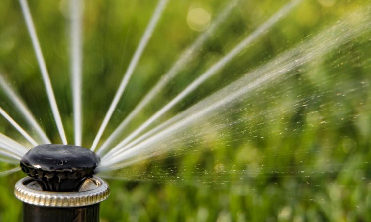 Lågt grundvatten på många håll i landet