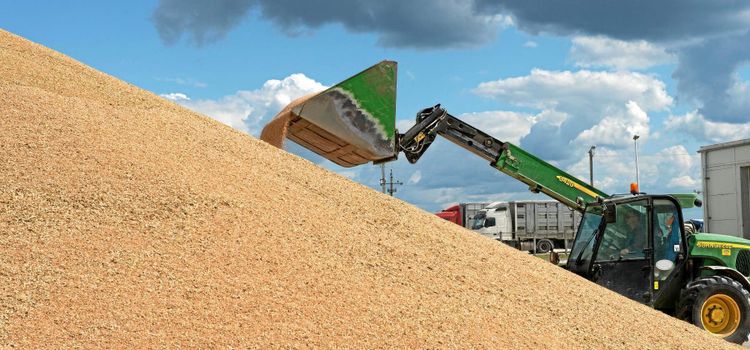 Börsbolagen misslyckades - nu tar bönderna över