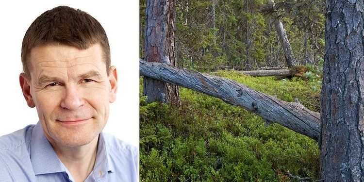 ”Båda sidor förvränger vårt beslut om nyckelbiotoper”