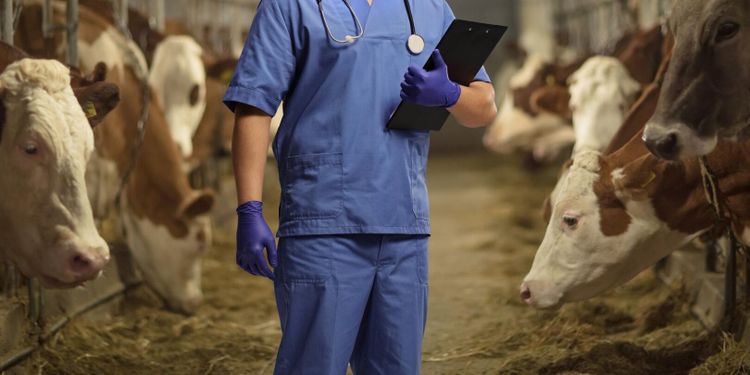 ”Fruktlös dialog med Jordbruksverket”