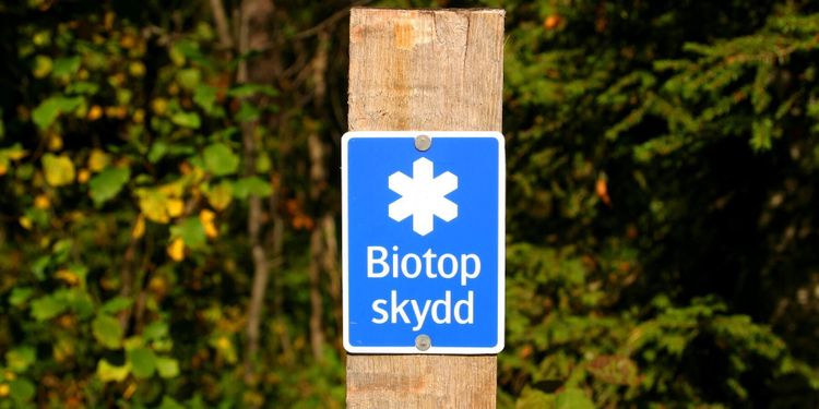 Lägre budget gav mindre skyddad skog