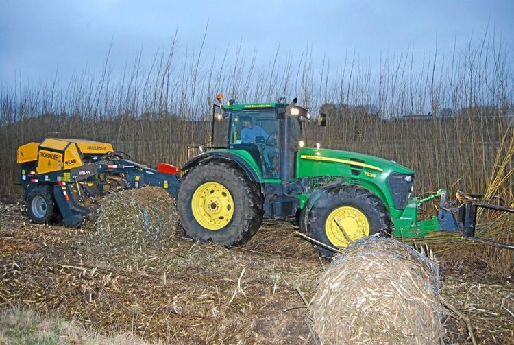 Nya vinster med omdiskuterad gröda