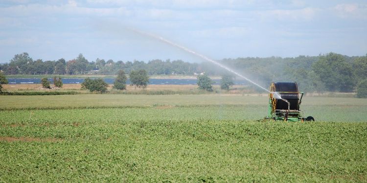 Inga konsekvenser för olovlig bevattning