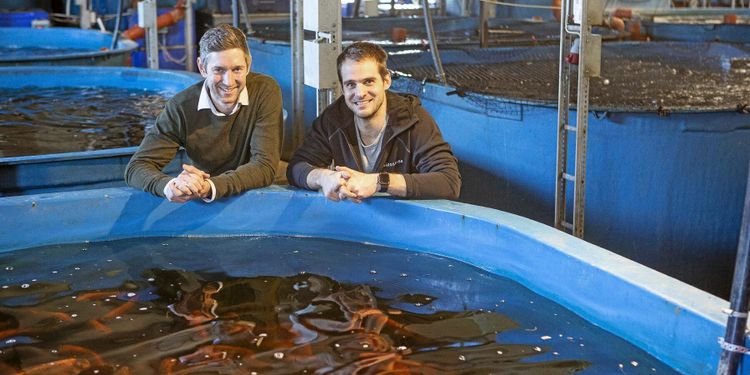 Fiskodling lockar bönder – nu är första systemet sålt