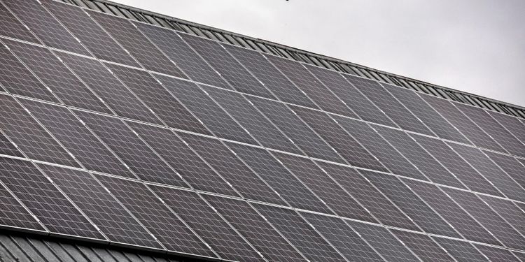 Låga elpriser hotar gröna investeringar