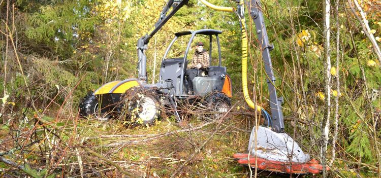 Dyrt röjningsberg i Finland