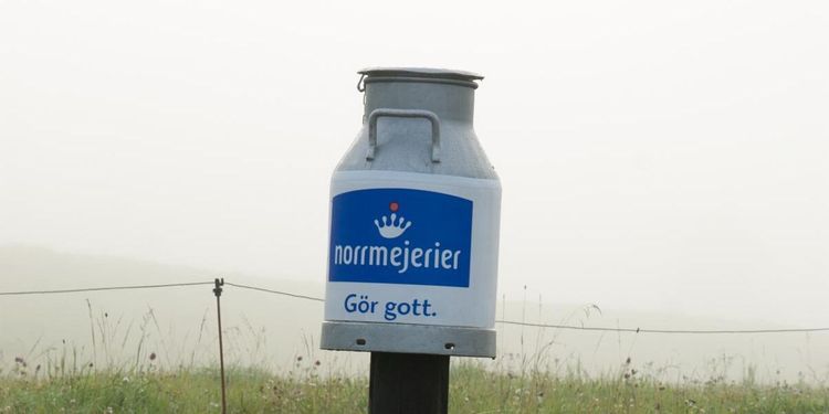 Norrmejerier sänker priset till bönderna – igen