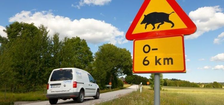 Långsam spridning norrut