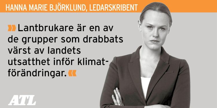 Bränderna som förändrar ett land