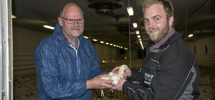 Skiftade till grannen