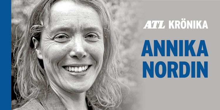 ”Kanske går det att få mer av allt från skogen”