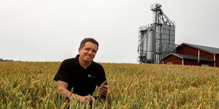 Sår maltkorn om grynhavrepriset inte höjs