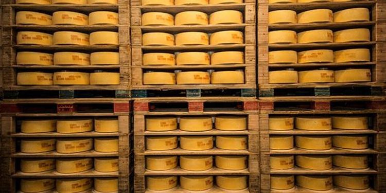 Ostkriget: Svensk Mjölk vinner i hovrätten