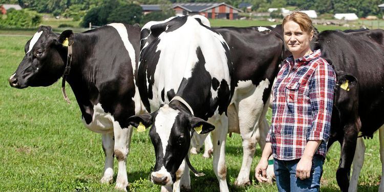 Replik: ”Så ska det inte se ut på en gård”