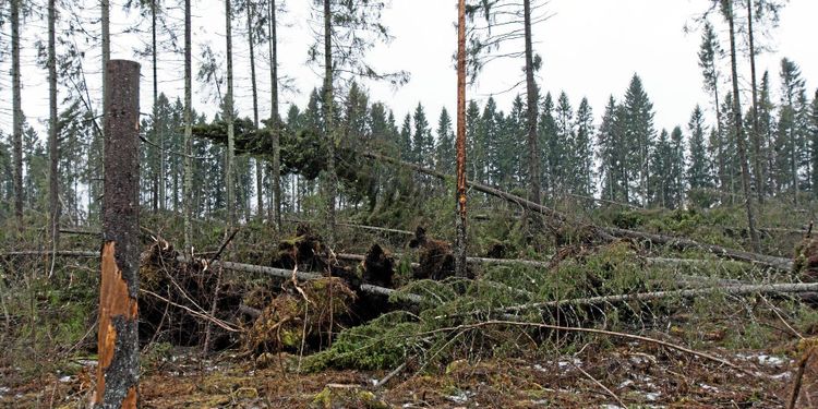 Många dubbelt drabbade av stormen Laura