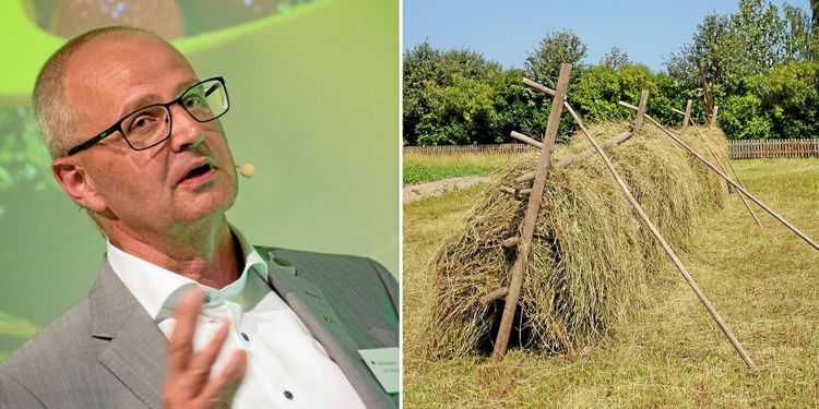 Palle Borgström: "Krävs ett signifikant belopp"