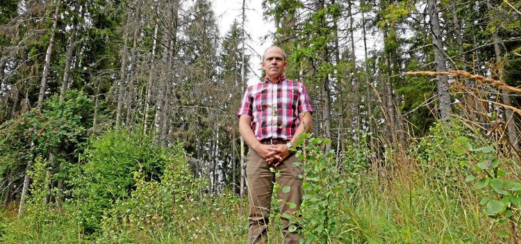 Ugglor stoppade hans avverkning