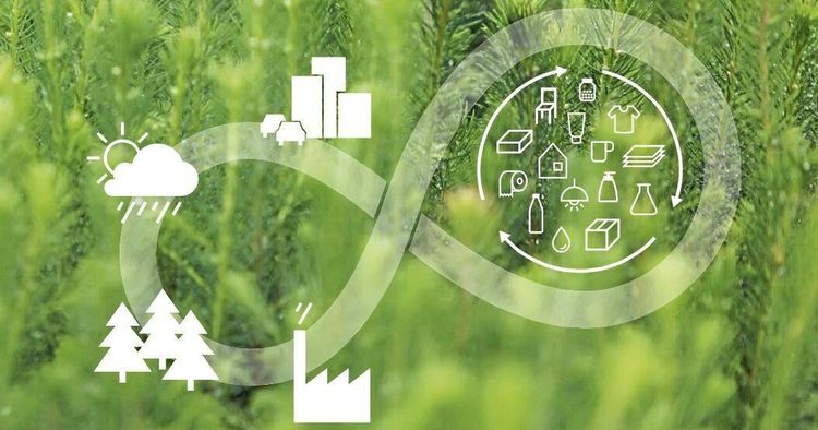 Skogsnäringen samlas kring bioekonomi