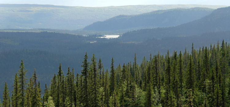 "Myndigheterna helt överens"