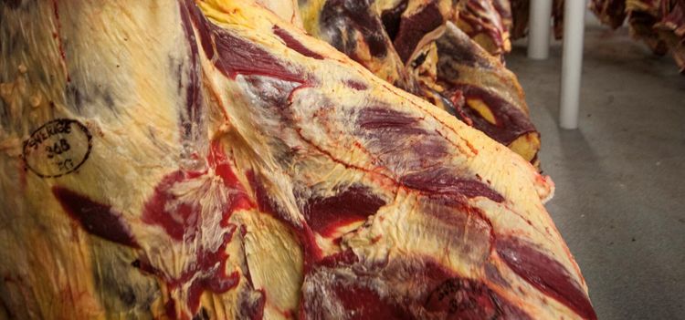 Högtryck på landets slakterier