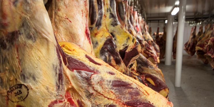 Branschen chockad över sent avgiftsbesked