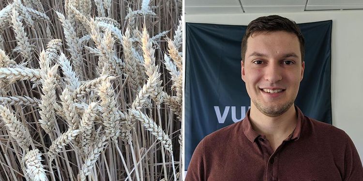 Målet: Mäta grödor på 2 miljoner hektar