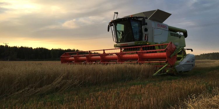 ”Blir 2021 året det händer?”