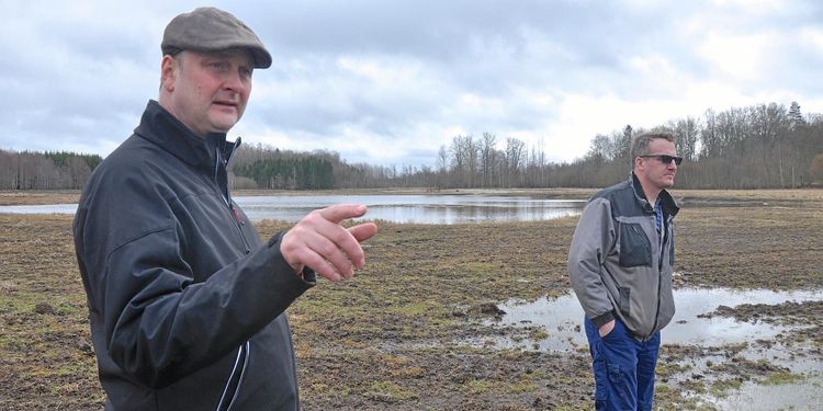 Stoppar översvämningar med diken och dammar