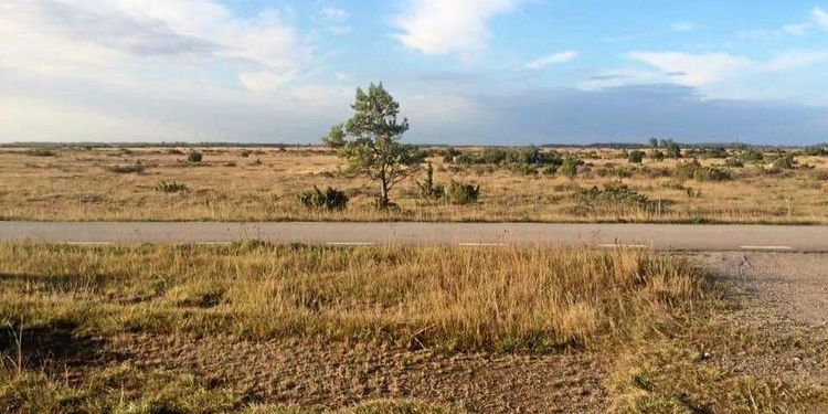 Andraskörden kan vara hotad