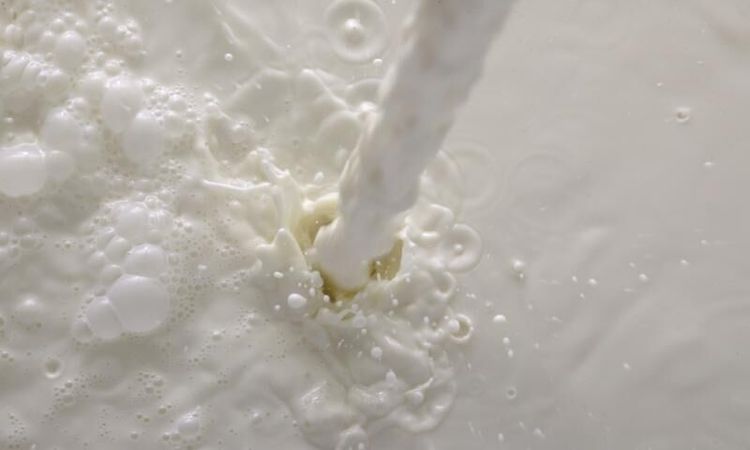 Mjölkbönder kräver betalningsgaranti