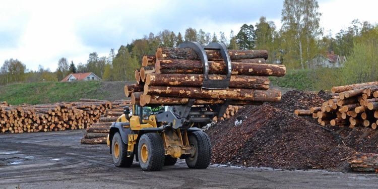 Nedåt för timmerpriserna