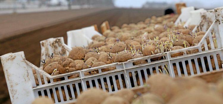 Tuffa tider för belgiska lantbrukare