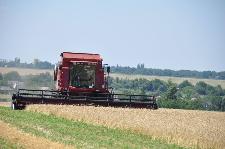 Skördetröska på åker. 