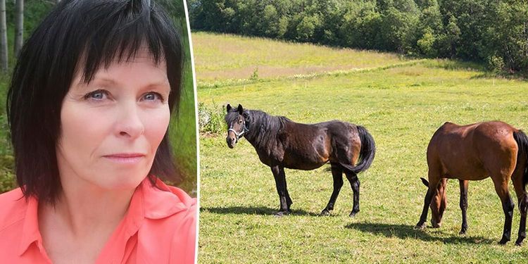 KD: ”Hästar riskerar bli ett nöje för de allra rikaste”