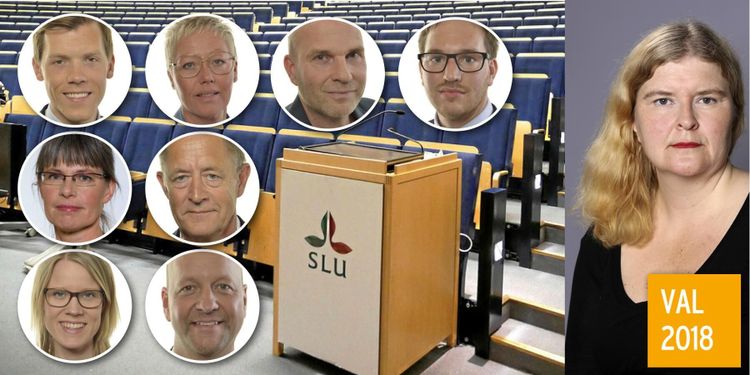 Missa inte: Partierna gör upp i livesänd debatt