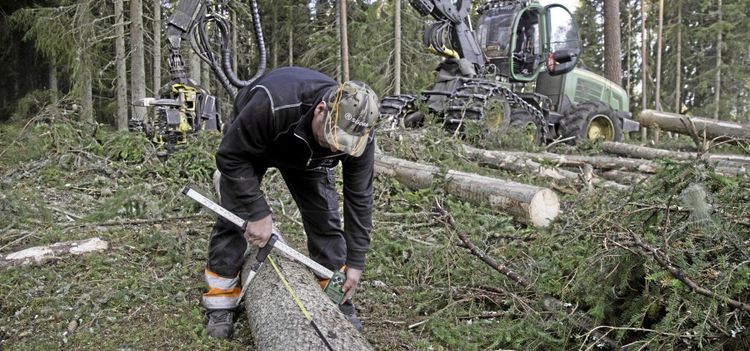 Så effektiviserar Södra inköpen