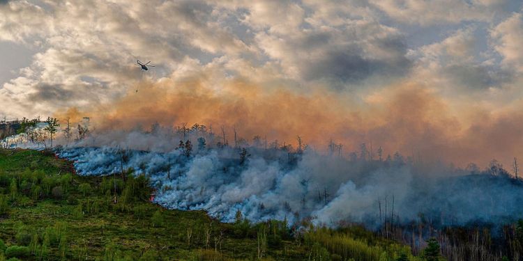 1,4 miljoner hektar skog brinner i ryska Arktis