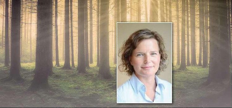 Bryssels julklapp till skogsägarna