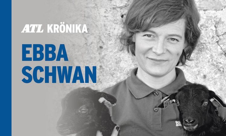 ”Kvotera in rätt kompetens till veterinärutbildningen”