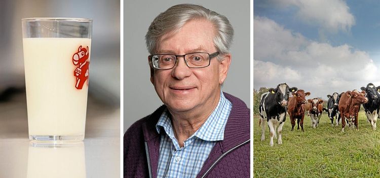 Professor: bedrägeri att kalla Arlabönder för ägare