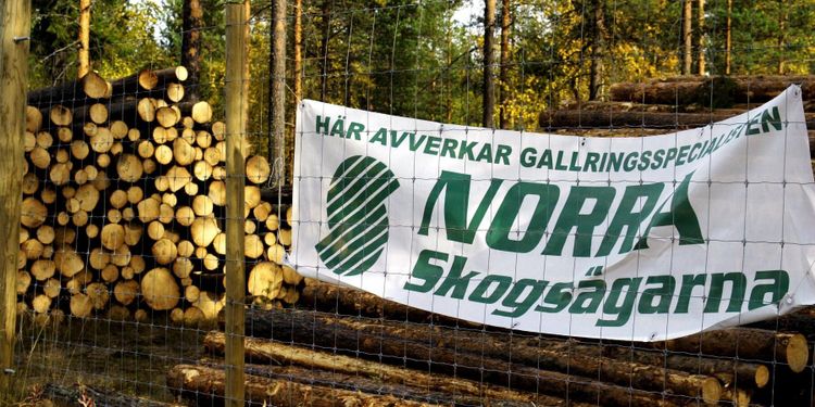 Rekordresultat för Norra – vill dela ut 30 miljoner