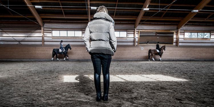 Riksdagen vill utreda hästutbildning