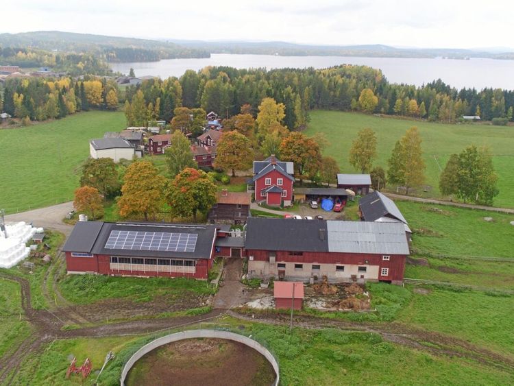 Batterilagret som sänker gårdens elkostnader