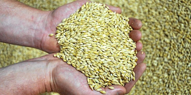 Nu ökar risken för fuktvandring