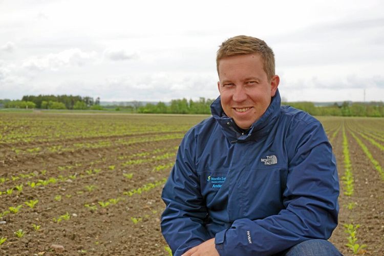 Försenad kampanj snart i mål – så blev resultatet