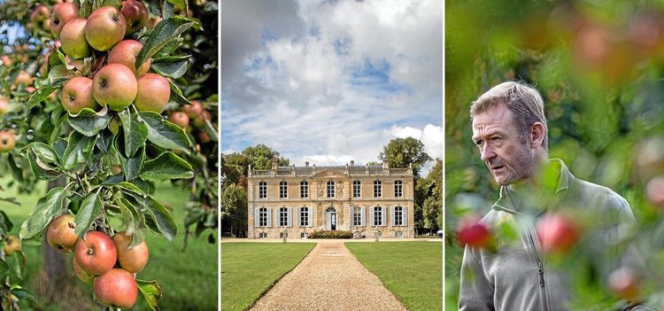 Vikingadryck betalar sig än i dag