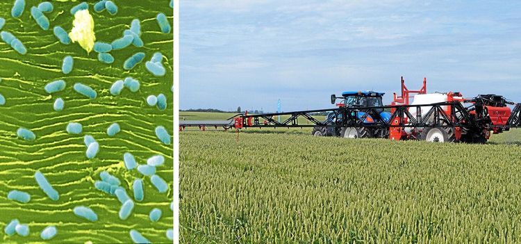 Byter kemiskt skydd mot biologiskt