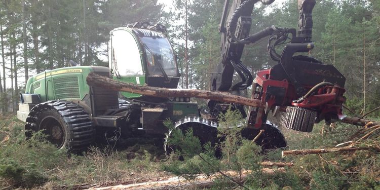 Brist på begagnat driver upp priserna